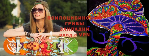 стаф Володарск