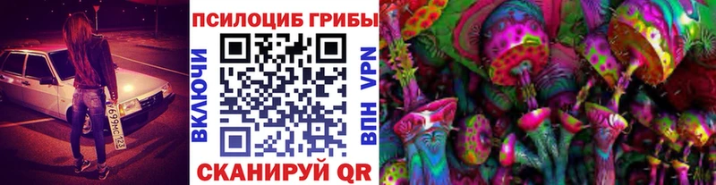 Псилоцибиновые грибы Magic Shrooms  Купить где  Подольск 